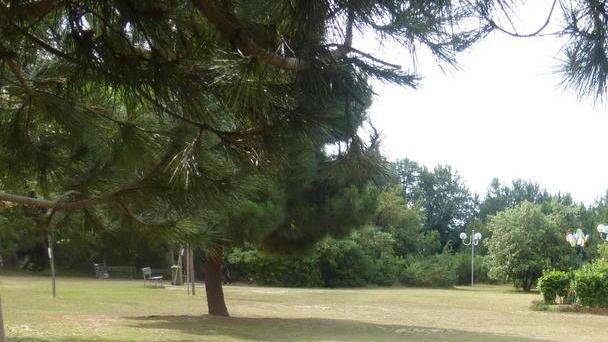 Magliano, un parco troppo aperto