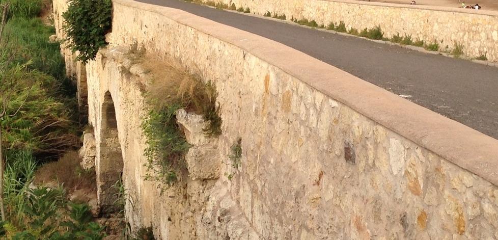 Il Ponte Romano soffocato dalle erbacce