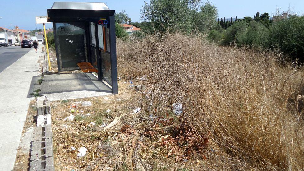 Sporcizia ed erbacce a Sassari, è allarme 