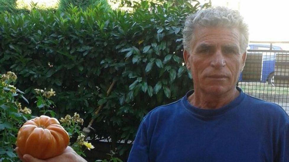 Ecco il pomodoro che sfiora il chilo