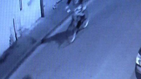 Ladri golosi in fuga dal bar con un vassoio di paste