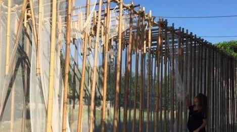Volontari in campo per riparare i danni