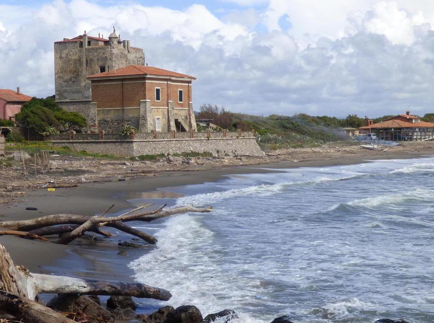 Zanzare a frotte, via alla disinfestazione 