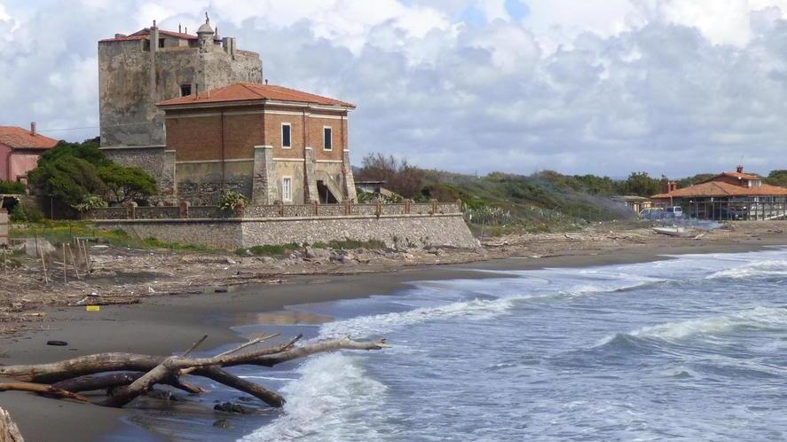 Zanzare a frotte, via alla disinfestazione
