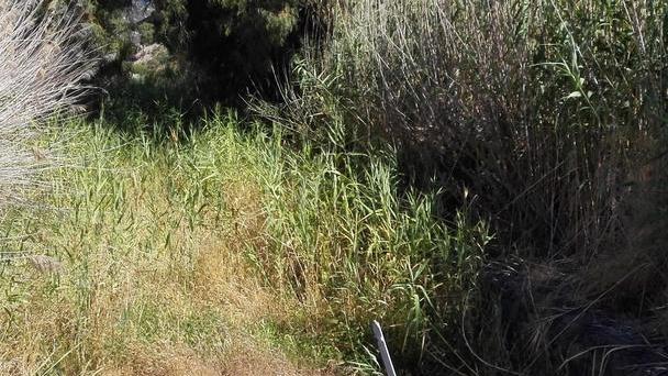 Bonifica canali, fondi in arrivo