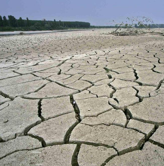 Con questi livelli torna il problema del “cuneo salino”