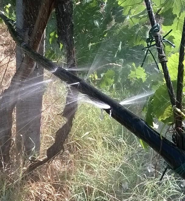 Gli spari dei cacciatori crivellano i tubi Gli irrigatori sono ko 