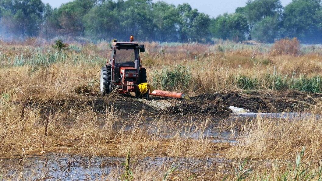 Comacchio, notte difficile ai Lidi per l'aria irrespirabile