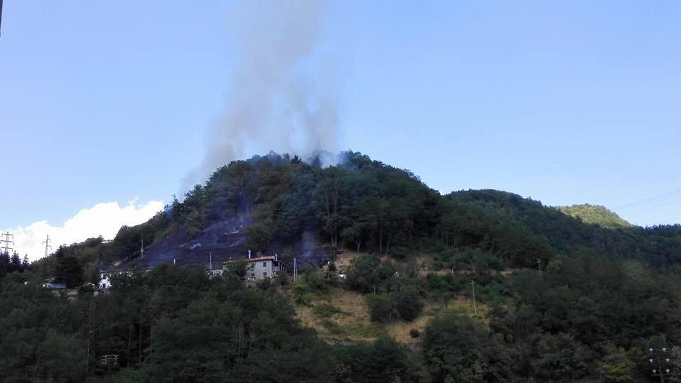 Fiamme sopra La Lima riducono in cenere due ettari di piante