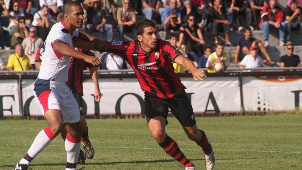 GhiviBorgo sfoglia la rosa Borgia resta, Sireno no
