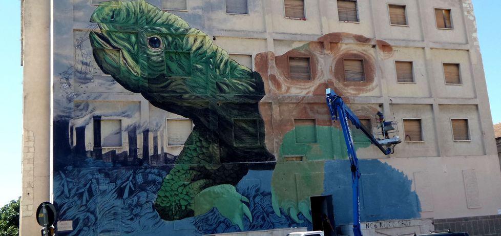 Dall’ex Turritania spunta una gigantesca tartaruga