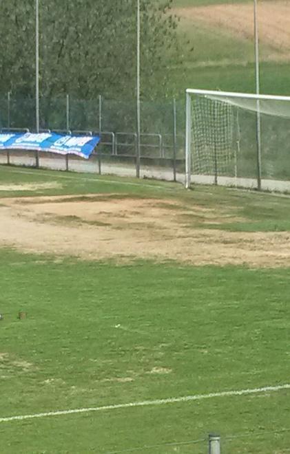 «I campi danneggiati dal caldo di luglio» 
