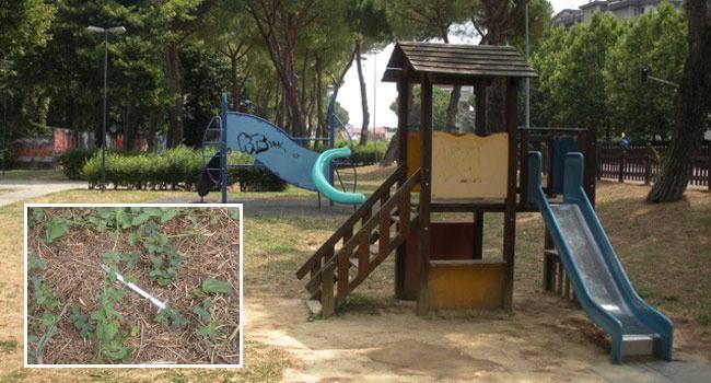 I giochi del parco di via Ferraris, nel riquadro una delle siringhe trovate accanto