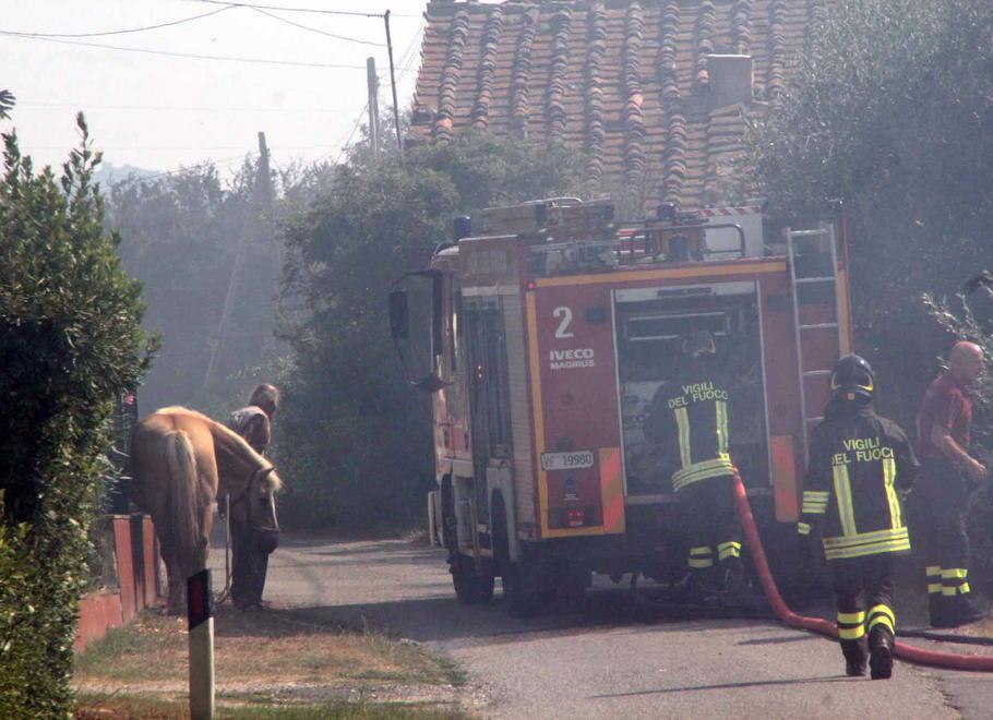 Incendio alla Puzzolente, strage di animali 