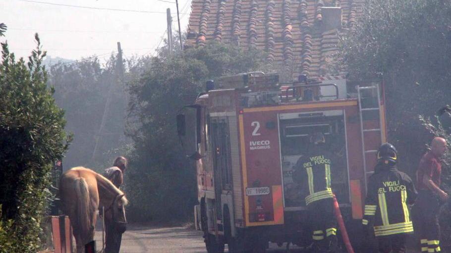 Incendio alla Puzzolente, strage di animali