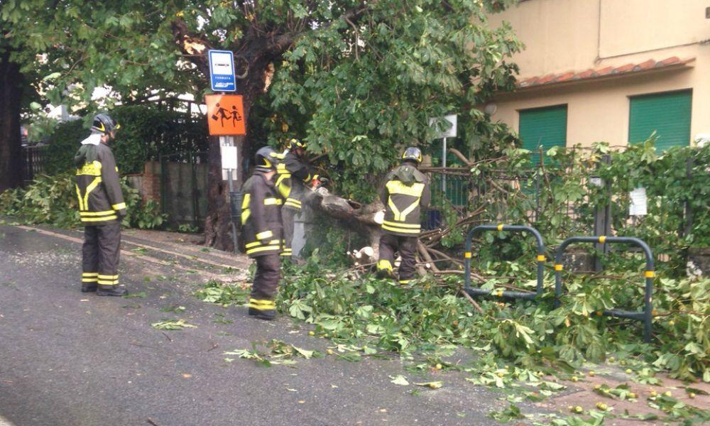 I rami del grosso albero caduti a Migliana