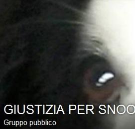 Cane ucciso, su Facebbok nasce il gruppo «Giustizia per Snoopy» 
