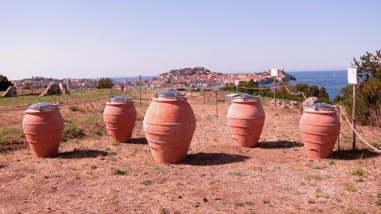 Il vino fermenta nell’anfora come al tempo dei Romani 