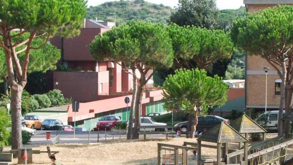 «Potature sbagliate e inutili e coi pini i rischi sono tanti»