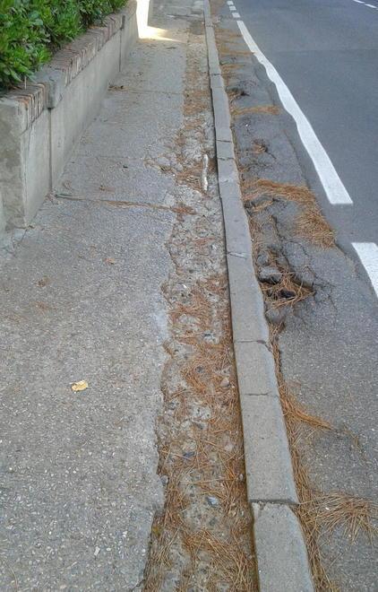 Lungomare tra buche ed erbacce 