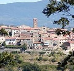 Poste dimezzate il Comune fa ricorso al Tar