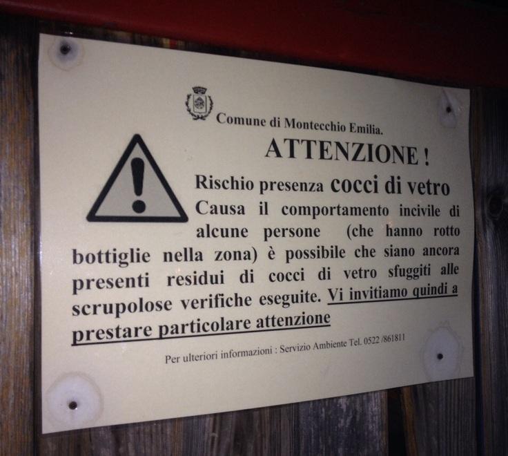 Cocci di vetro nel parco, appello contro i vandali 