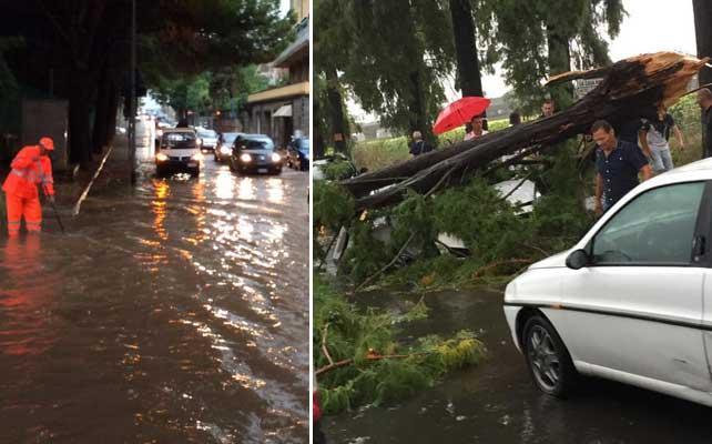 Allagamenti a Cecina (foto Falorni/Silvi) e un'auto distrutta da un albero caduto a Migliarino (foto di un lettore, Mauro Rosati)