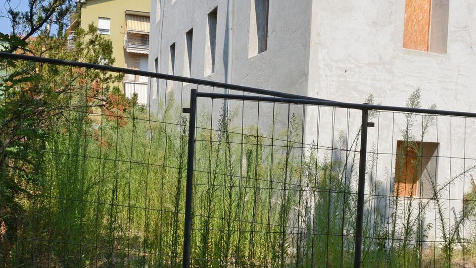 Villa Ombrosa di Modena sigillata tra le erbacce