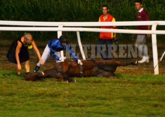 Choc al Caprilli: cavallo vince e muore 