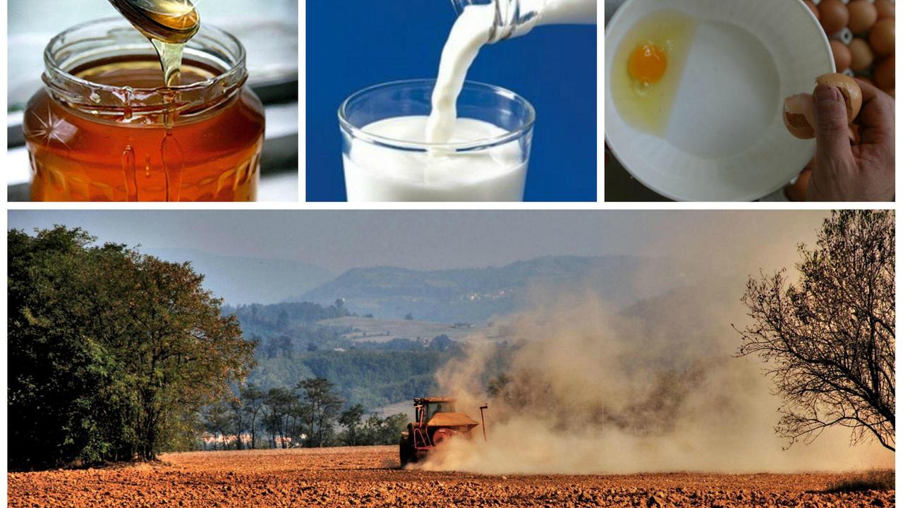 La siccità svuota la dispensa: decimati miele, latte e uova