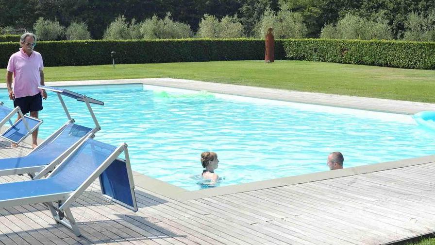 Cervo annega in una piscina