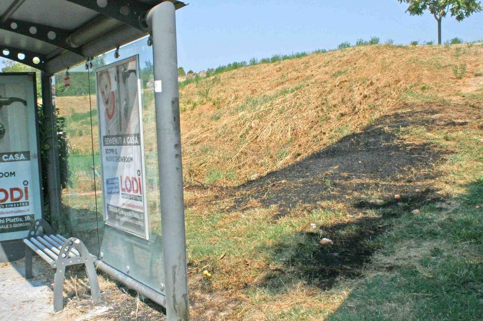 Incendio vicino alla strada