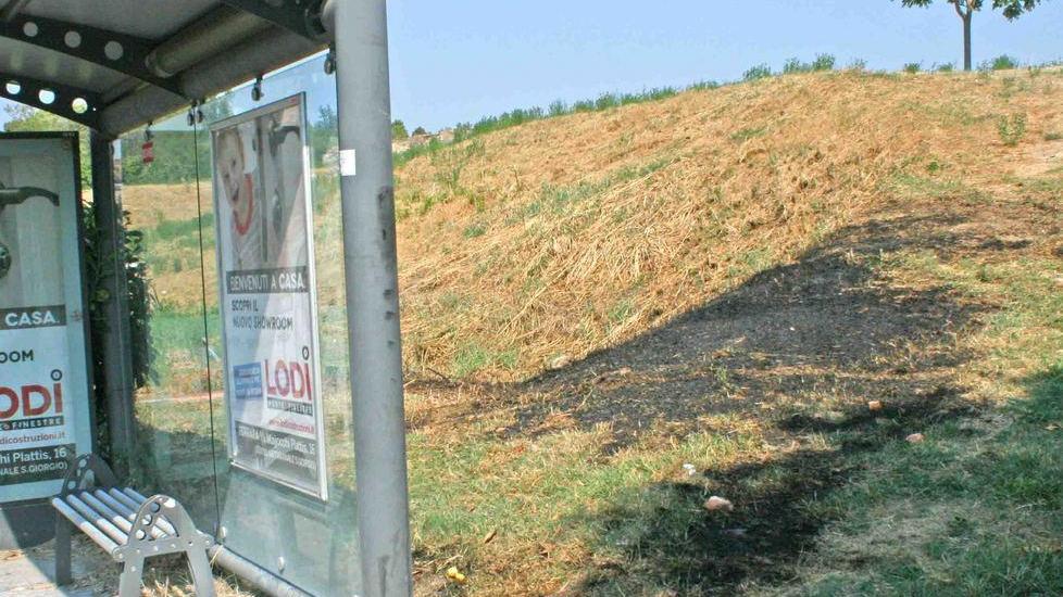 Incendio vicino alla strada