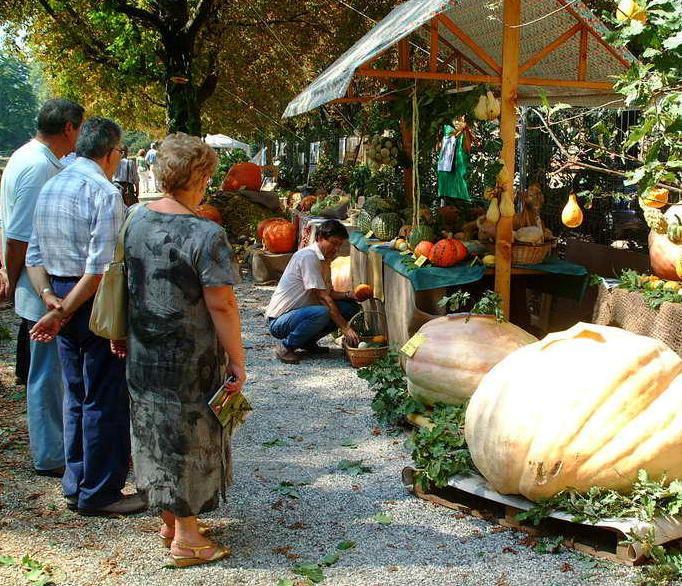Piante, fiori e cibo Murabilia 2015 si ispira all’Expo 