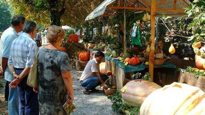 Piante, fiori e cibo Murabilia 2015 si ispira all’Expo
