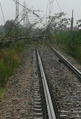 Vento e pioggia fermano i treni tra Lucca e Viareggio 