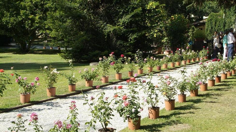 Mura in fiore al via venerdì 4 settembre
