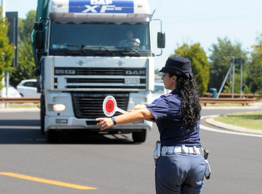 Tir pieno di maiali lasciato al sole 