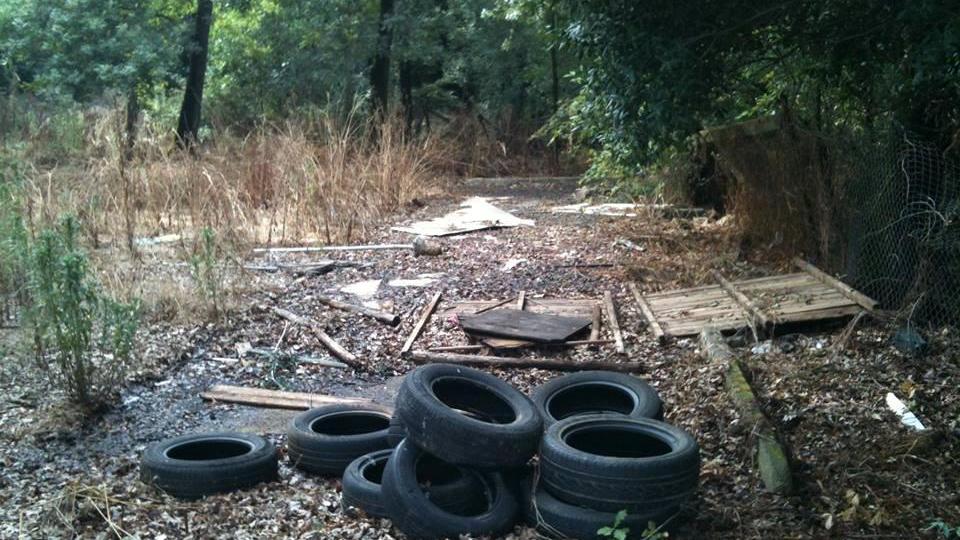 Copertoni abbandonati nel verde del Parco di Montioni