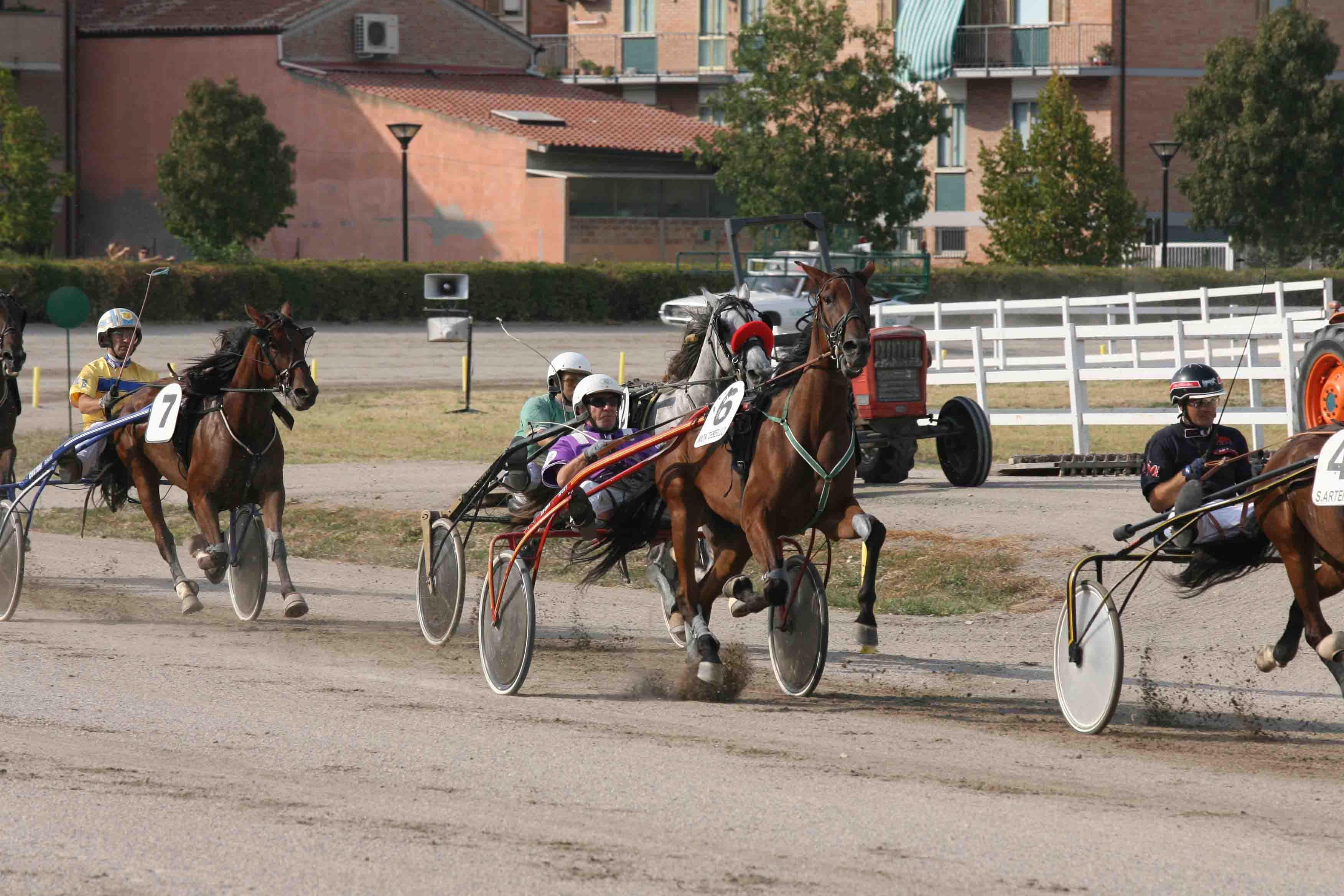 Giovedì all'ippodromo tornano le corse al trotto