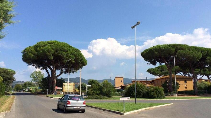«Troppi incidenti, ora basta» Un comitato per la sicurezza