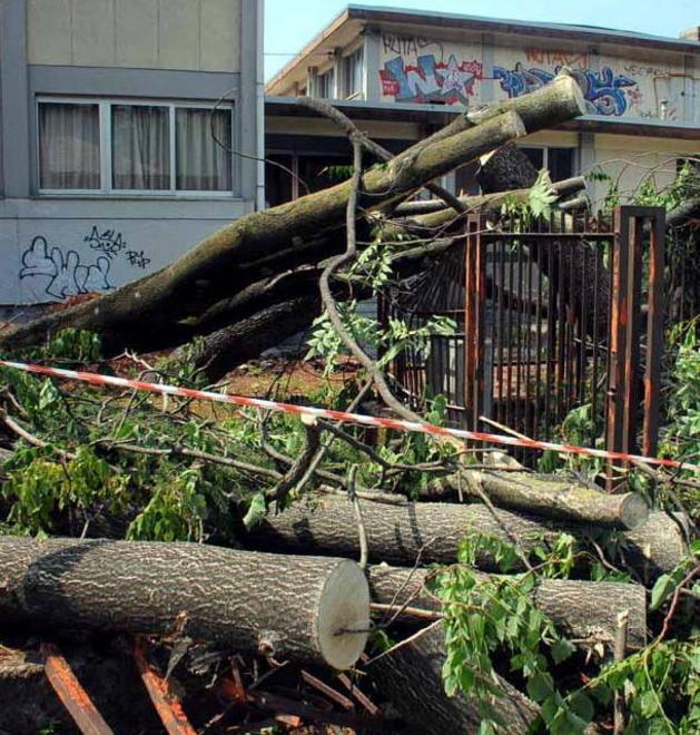 Tromba d’aria danni per oltre un milione di euro 