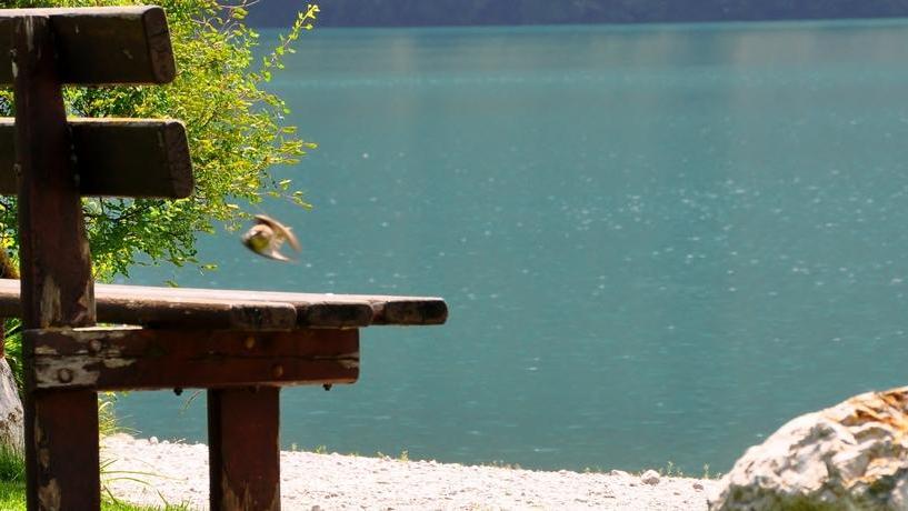 Tanti saluti dallo splendido Lago Molveno