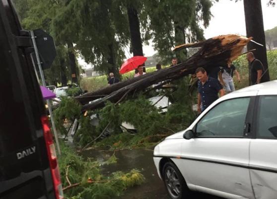 Maltempo a Pisa: 6 feriti lievi per il crollo degli alberi 