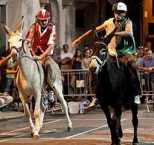 A Roccatederighi tutto pronto per il Palio dei ciuchi