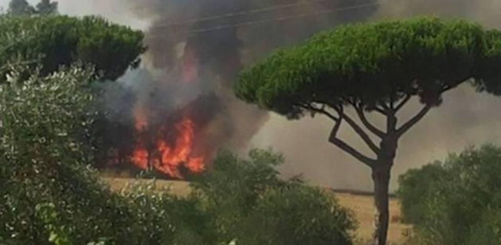 Fiamme nella zona di Corinna Il rogo si avvicina a un casale