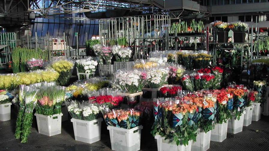 Produzione su, prezzi giù rovente il mercato dei fiori