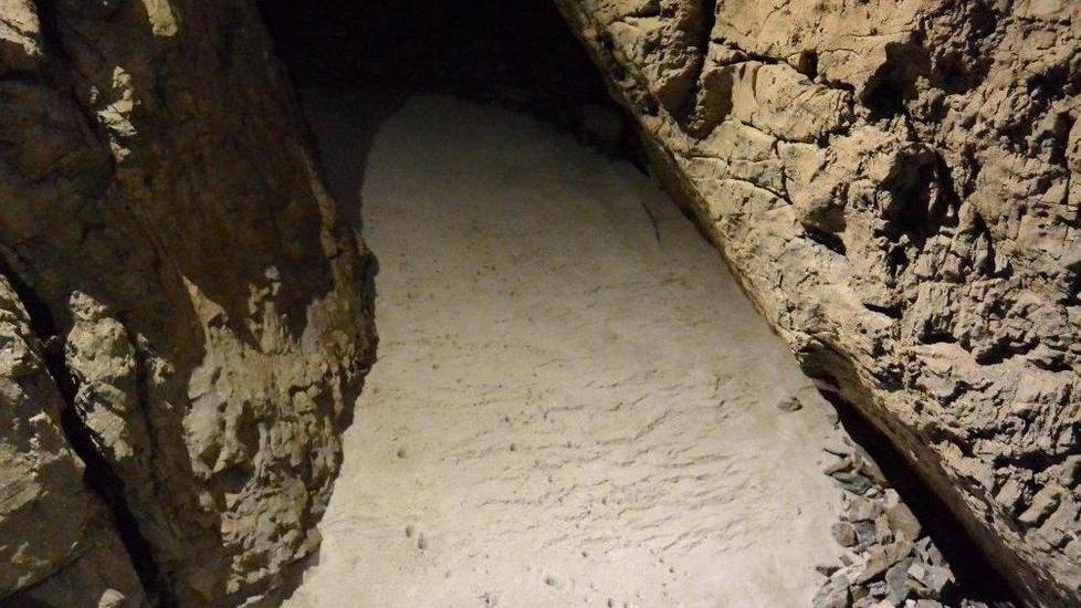 «Non c’è marmettola nelle acque e alla Grotte»