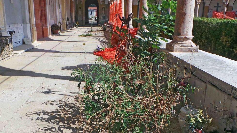 Erbacce e arbusti, degrado alla certosa