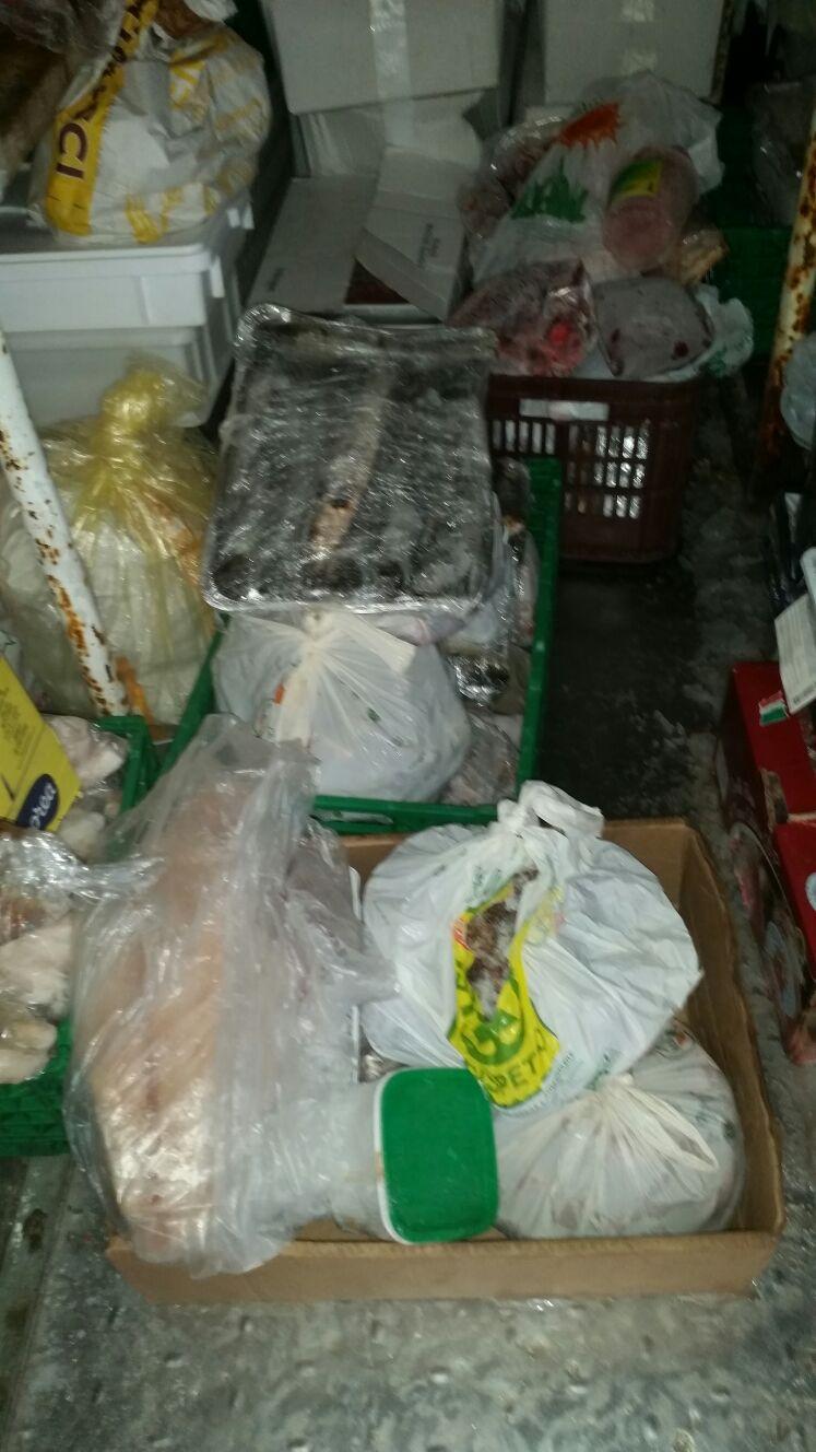 La cella frigo in cui è stato sequestrato il pesce